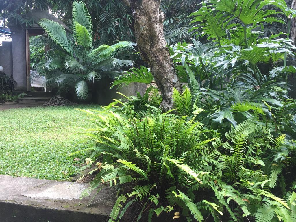 Kiyan Teges Ubud Hotell Exteriör bild